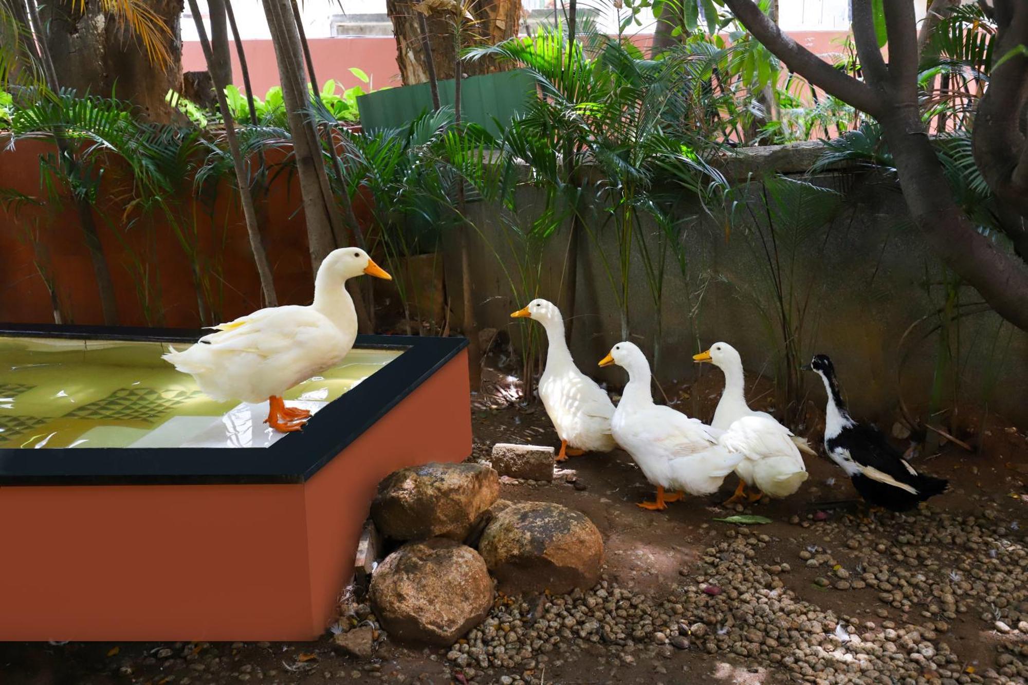 Lemon Tree Suites, Whitefield, Bengaluru 外观 照片