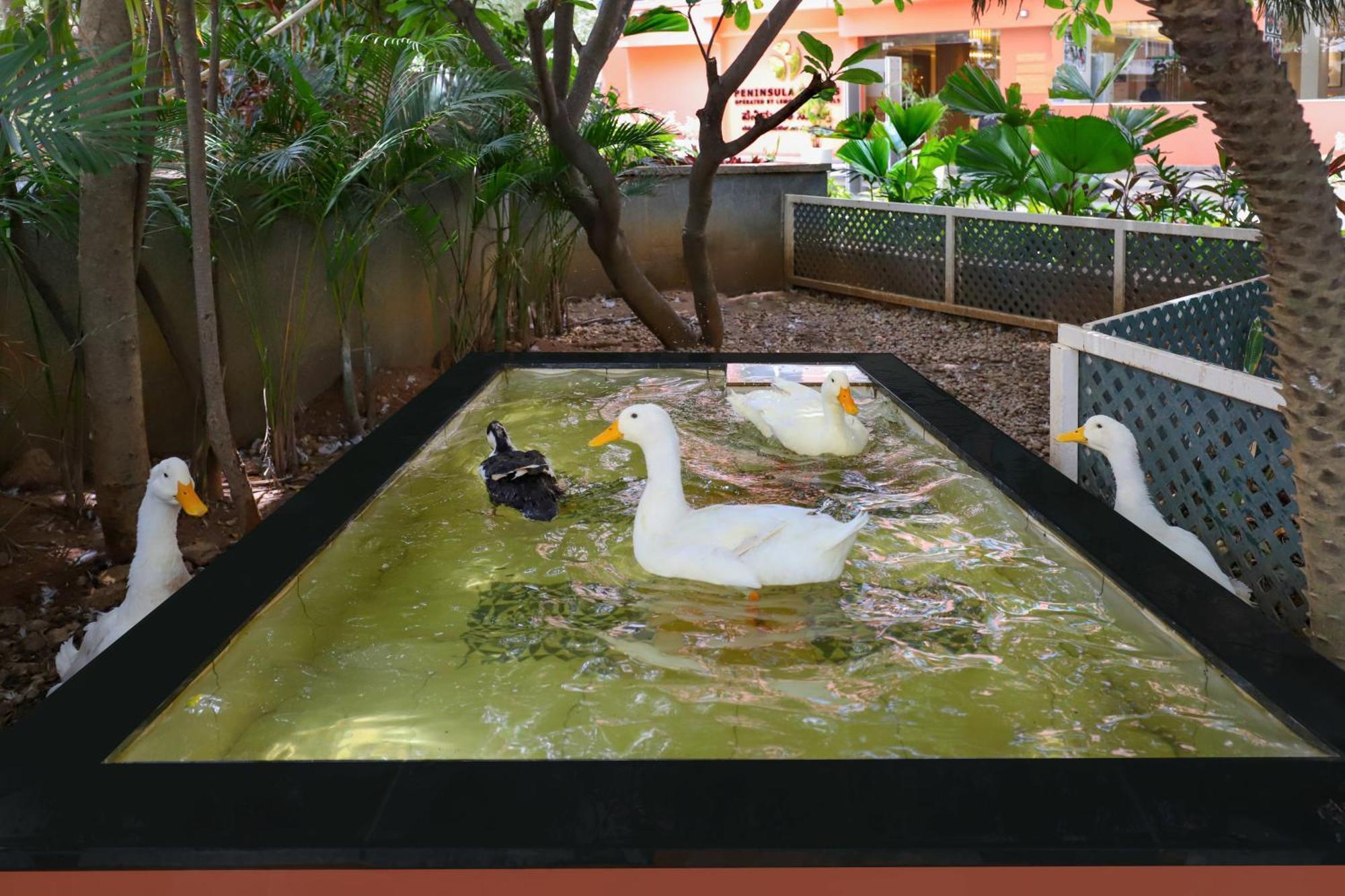 Lemon Tree Suites, Whitefield, Bengaluru 外观 照片
